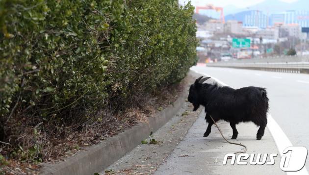  Ǯ 濰Ұ Ǯ  ִ.     .  News1